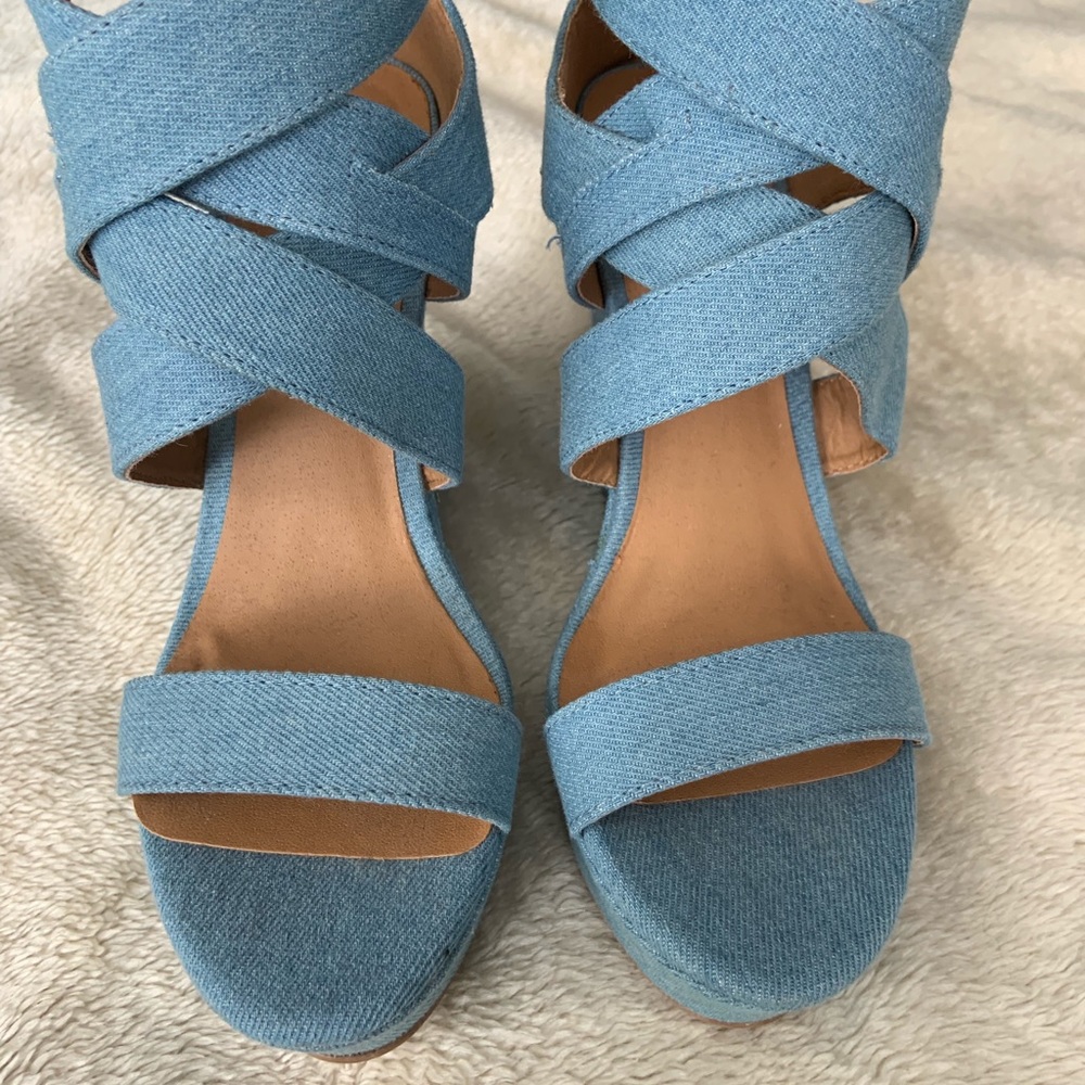 Blue Wedges